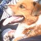Img 20140718 wa006