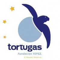 Aaa%20tfy%20logo 244x240