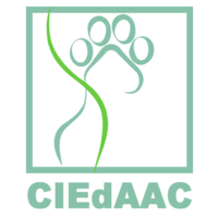 Logo%20temporal