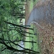 C3c41231 858e 4c8f 96fc efd5bba7c46f